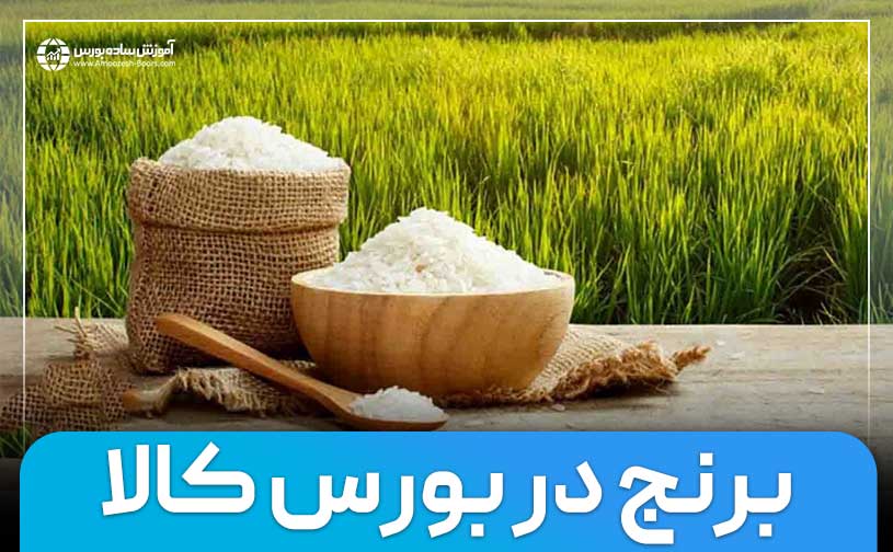 نحوه خرید برنج از بورس کالا | از ۱ تا ۱۰۰ کیلوگرم