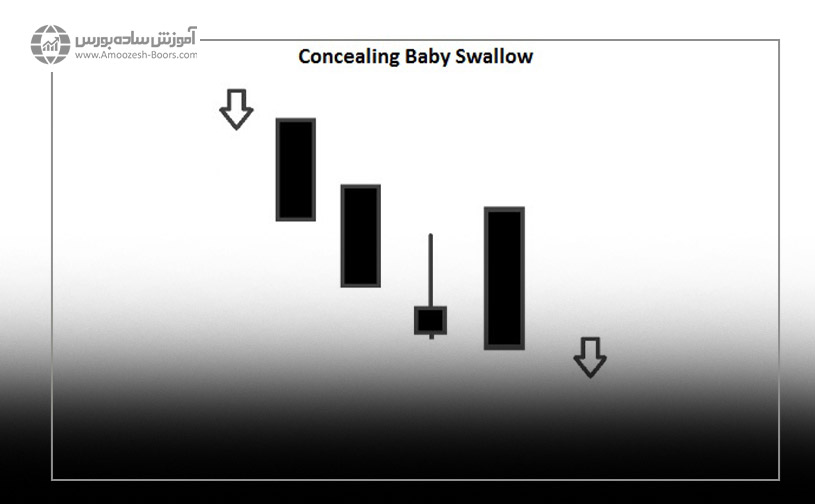 الگو شمعی Concealing Baby Swallow